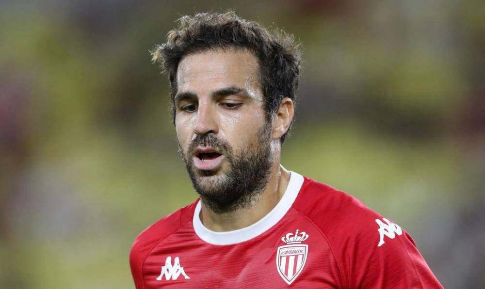 本届洛迦诺电影节特别为松本人志举办一场名为“松本电影”的个人影展，届时包括《有鞘 “树先生”洛迦诺影节首映反响好 观众赞有创意 2011-08-06 当地时间8月5日上午，由贾樟柯监制、韩杰执导、王宝强、谭卓、何洁主演的荒诞喜剧电影《Hello！