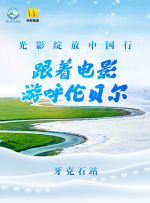 字幕全集免费观看