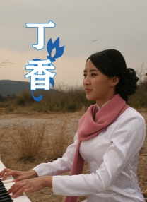 全集免费观看超清